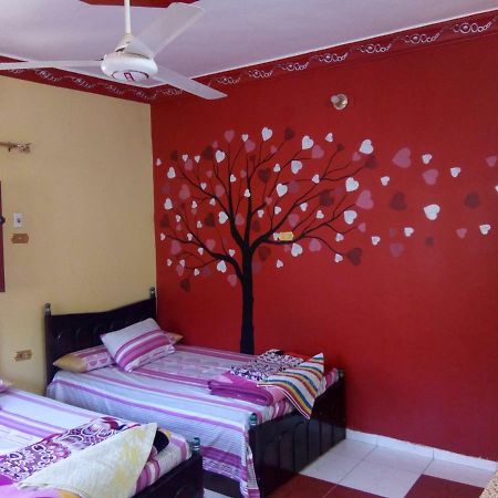 El-Amin Guest House Асуан Екстериор снимка